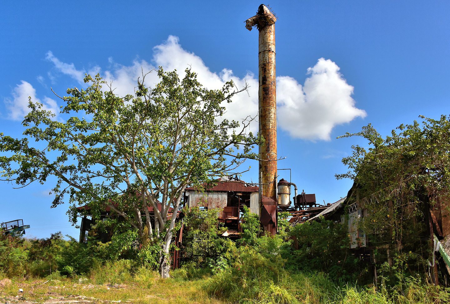 Gunthorpe’s Antigua Sugar Mills